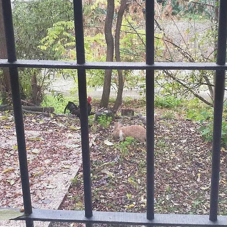 Fare - Casetta Sul Fiume In Citta * Reggio nell'Emilia
